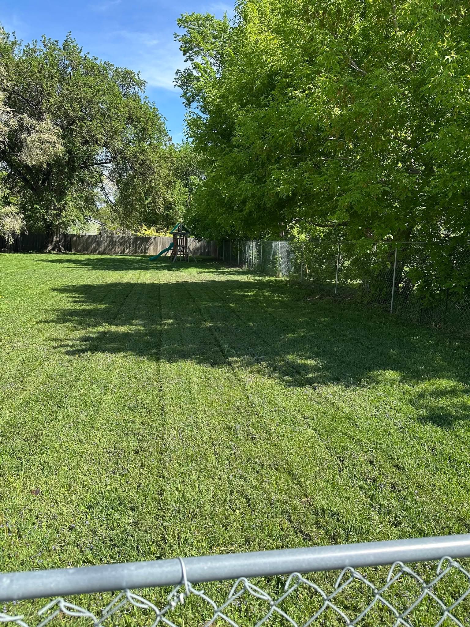 Lawn after mowing — clean result