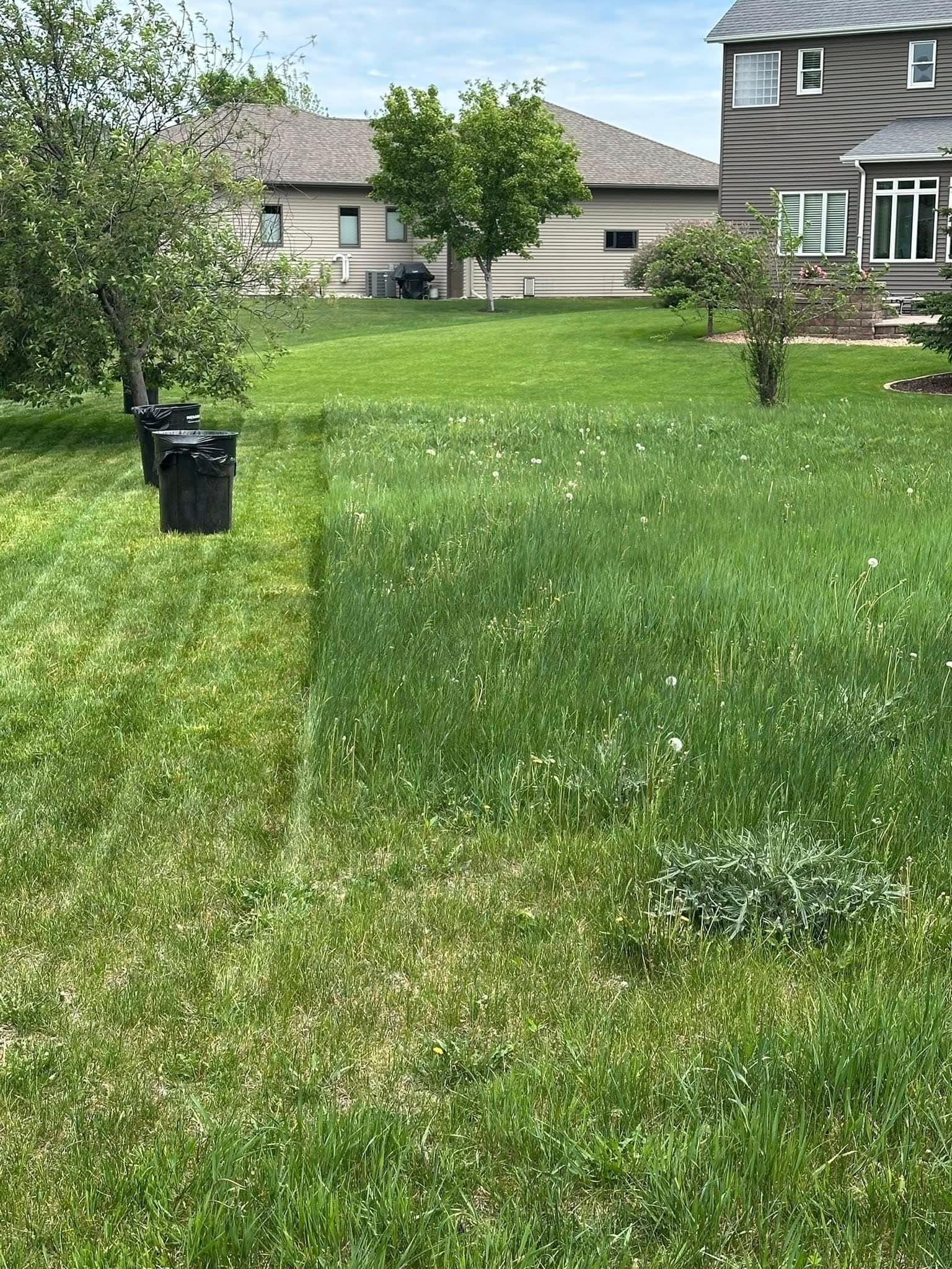 Lawn mowing in progress — before and after comparison